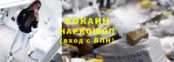 индика Медногорск