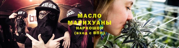 индика Медногорск