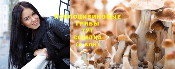дживик Мегион