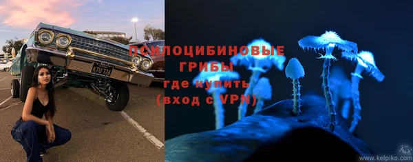 apvp Майский