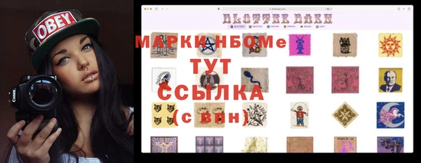индика Медногорск