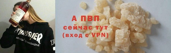 дживик Мегион