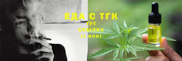 индика Медногорск