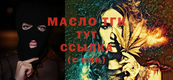 индика Медногорск