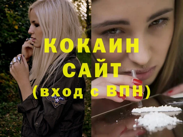 индика Медногорск