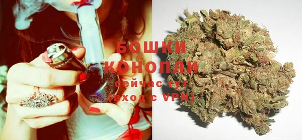 дживик Мегион