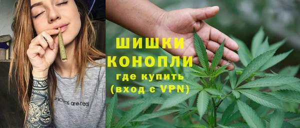 индика Медногорск