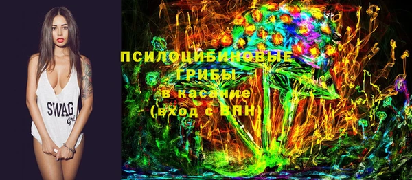 ECSTASY Медвежьегорск