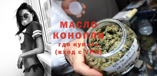 индика Медногорск