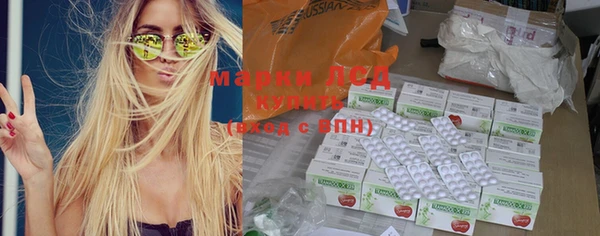 индика Медногорск