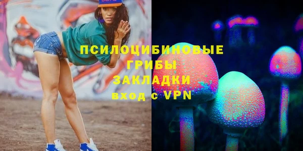 дживик Мегион
