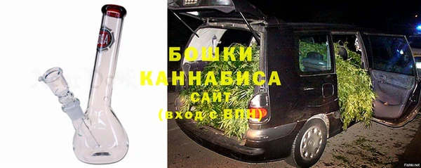 индика Медногорск