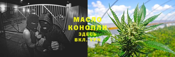 дживик Мегион