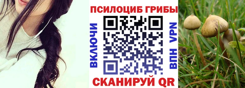 Галлюциногенные грибы Psilocybe Отрадная